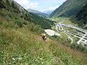 20100829_hohberg_michi 135